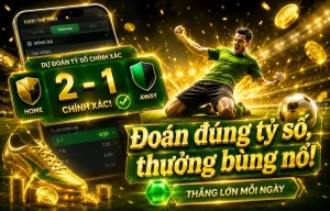 awhometest thể thao